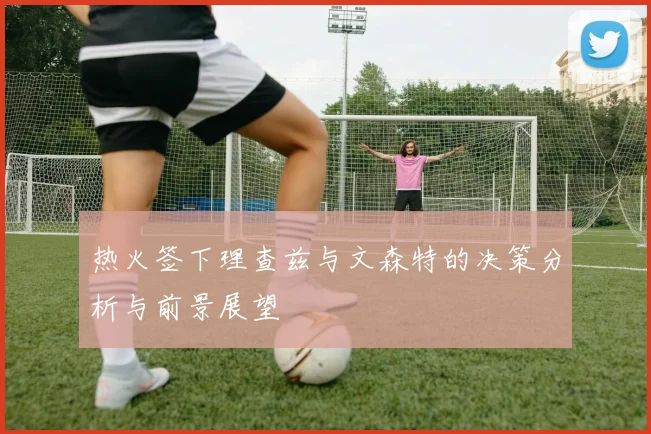 热火签下理查兹与文森特的决策分析与前景展望